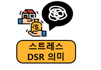 스트레스 DSR 뜻